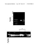 SURFACTANT SYSTEMS FOR ENHANCED OIL RECOVERY diagram and image