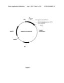 Polyol Oxidases diagram and image