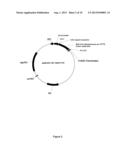 Polyol Oxidases diagram and image