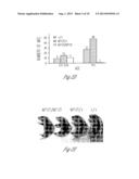 N-ACETYL MANNOSAMINE AS A THERAPEUTIC AGENT diagram and image