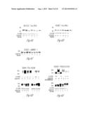 N-ACETYL MANNOSAMINE AS A THERAPEUTIC AGENT diagram and image