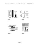 USE OF A GROWTH-STIMULATING PROTEIN diagram and image