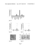 USE OF A GROWTH-STIMULATING PROTEIN diagram and image