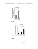 USE OF A GROWTH-STIMULATING PROTEIN diagram and image