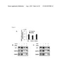 AGENT AND METHOD FOR STABILIZING MEMBRANE PROTEIN diagram and image