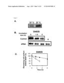 AGENT AND METHOD FOR STABILIZING MEMBRANE PROTEIN diagram and image