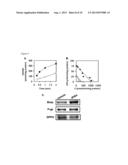 AGENT AND METHOD FOR STABILIZING MEMBRANE PROTEIN diagram and image