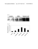 AGENT AND METHOD FOR STABILIZING MEMBRANE PROTEIN diagram and image