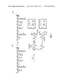 Method For Synthesizing A Cyclic Multivalent Peptide Using A     Thiol-Mediated Reaction diagram and image