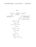 Modified Polysaccharides for Conjugate Vaccines diagram and image