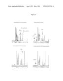 Modified Polysaccharides for Conjugate Vaccines diagram and image