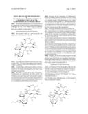 NOVEL PROCESS FOR THE PREPARATION OF 9-DEOXO-9A-AZA-9A-HOMOERYTHROMYCIN A,     MODIFIED IN THE C-44  OF THE CLADINOSE RING BY AN EPOXIDE GROUP diagram and image