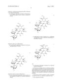 NOVEL PROCESS FOR THE PREPARATION OF 9-DEOXO-9A-AZA-9A-HOMOERYTHROMYCIN A,     MODIFIED IN THE C-44  OF THE CLADINOSE RING BY AN EPOXIDE GROUP diagram and image