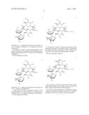 NOVEL PROCESS FOR THE PREPARATION OF 9-DEOXO-9A-AZA-9A-HOMOERYTHROMYCIN A,     MODIFIED IN THE C-44  OF THE CLADINOSE RING BY AN EPOXIDE GROUP diagram and image