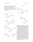 CHITOSAN COVALENTLY LINKED WITH SMALL MOLECULE INTEGRIN ANTAGONIST FOR     TARGETED DELIVERY diagram and image