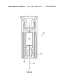 Medicated Module Having a Double Needle Guard diagram and image