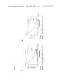 USE OF IMP3 AS A PROGNOSTIC MARKER FOR CANCER diagram and image