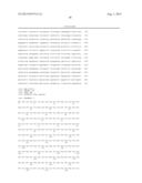 USE OF IMP3 AS A PROGNOSTIC MARKER FOR CANCER diagram and image