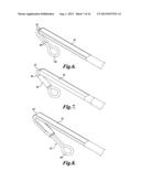 OCULAR LENS CAPSULE RETAINER diagram and image