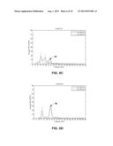 STIMULATION ELECTRODE SELECTION diagram and image