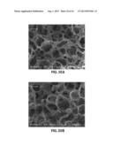 MUCOSAL TISSUE ADHESION VIA TEXTURED SURFACE diagram and image