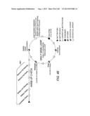 Wearable Device Assembly Having Athletic Functionality diagram and image