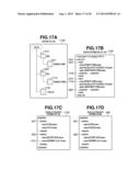 DOCUMENT MANAGEMENT SERVER AND DOCUMENT MANAGEMENT METHOD diagram and image