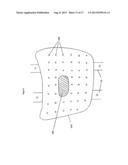 STABILIZING SYSTEM FOR A SADDLE diagram and image