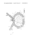 ROTARY INTERNAL COMBUSTION ENGINE WITH COOLED INSERT diagram and image