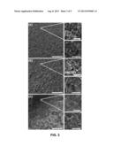 COMPOSITE OF GRAPHENE OXIDE AND NANOSTRUCTURES, METHODS OF MAKING AND     APPLICATIONS OF SAME diagram and image