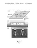 Integrated Optical Vapor Cell Apparatus for Precision Spectroscopy diagram and image