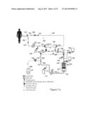 HEMODIALYSIS SYSTEM HAVING A FLOW PATH WITH A CONTROLLED COMPLIANT VOLUME diagram and image