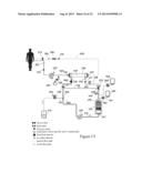 HEMODIALYSIS SYSTEM HAVING A FLOW PATH WITH A CONTROLLED COMPLIANT VOLUME diagram and image