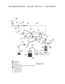 HEMODIALYSIS SYSTEM HAVING A FLOW PATH WITH A CONTROLLED COMPLIANT VOLUME diagram and image