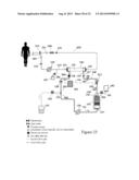 HEMODIALYSIS SYSTEM HAVING A FLOW PATH WITH A CONTROLLED COMPLIANT VOLUME diagram and image