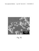 GALLIUM NITRIDE BASED STRUCTURES WITH EMBEDDED VOIDS AND METHODS FOR THEIR     FABRICATION diagram and image