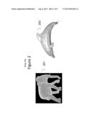 EMBEDDING AND DECODING THREE-DIMENSIONAL WATERMARKS INTO STEREOSCOPIC     IMAGES diagram and image