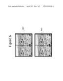 EMBEDDING AND DECODING THREE-DIMENSIONAL WATERMARKS INTO STEREOSCOPIC     IMAGES diagram and image