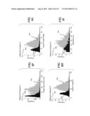 BLOOD AND CELL ANALYSIS USING AN IMAGING FLOW CYTOMETER diagram and image