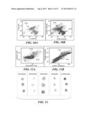 BLOOD AND CELL ANALYSIS USING AN IMAGING FLOW CYTOMETER diagram and image