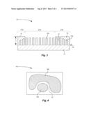 WIRE GRID POLARIZER WITH BORDERED SECTIONS diagram and image