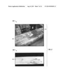 INTERNAL IMAGING SYSTEM diagram and image