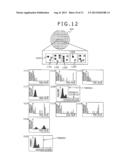 DEFECT INSPECTION METHOD, DEFECT INSPECTION APPARATUS, PROGRAM PRODUCT AND     OUTPUT UNIT diagram and image