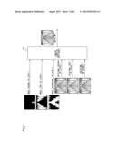 IMAGE PROCESS DEVICE, IMAGE PROCESS METHOD, AND IMAGE PROCESS PROGRAM diagram and image