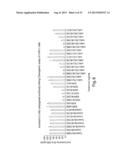 Method of Treating Ovarian and Renal Cancer Using Antibodies Against T     Cell Immunoglobulin Domain And Mucin Domain 1 (TIM-1) Antigen diagram and image