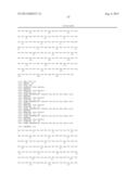 Method of Treating Ovarian and Renal Cancer Using Antibodies Against T     Cell Immunoglobulin Domain And Mucin Domain 1 (TIM-1) Antigen diagram and image