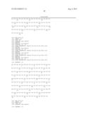 Method of Treating Ovarian and Renal Cancer Using Antibodies Against T     Cell Immunoglobulin Domain And Mucin Domain 1 (TIM-1) Antigen diagram and image