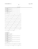 Method of Treating Ovarian and Renal Cancer Using Antibodies Against T     Cell Immunoglobulin Domain And Mucin Domain 1 (TIM-1) Antigen diagram and image