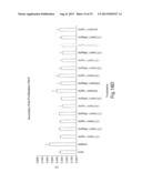 Method of Treating Ovarian and Renal Cancer Using Antibodies Against T     Cell Immunoglobulin Domain And Mucin Domain 1 (TIM-1) Antigen diagram and image