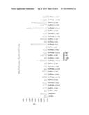 Method of Treating Ovarian and Renal Cancer Using Antibodies Against T     Cell Immunoglobulin Domain And Mucin Domain 1 (TIM-1) Antigen diagram and image